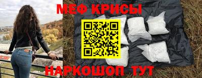 гашик Моздок