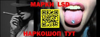 гашик Моздок