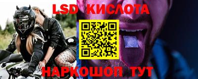 гашик Моздок