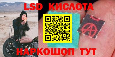 таблы Можга