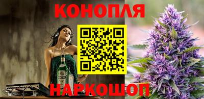 гашик Моздок