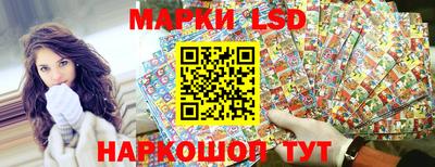 гашик Моздок