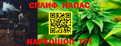 гашик Моздок