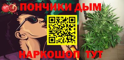 прущие грибы Можайск