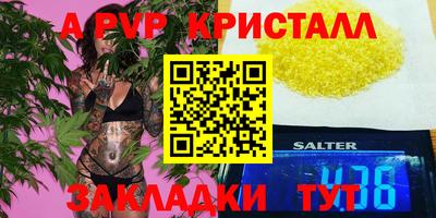гашик Моздок