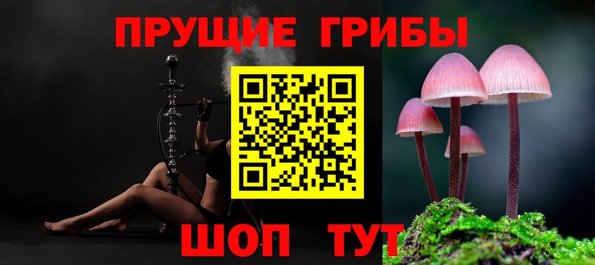 Анжеро-Судженск  Галлюциногенные грибы мухоморы  Галлюциногенные грибы ЛСД  Вход с VPN 